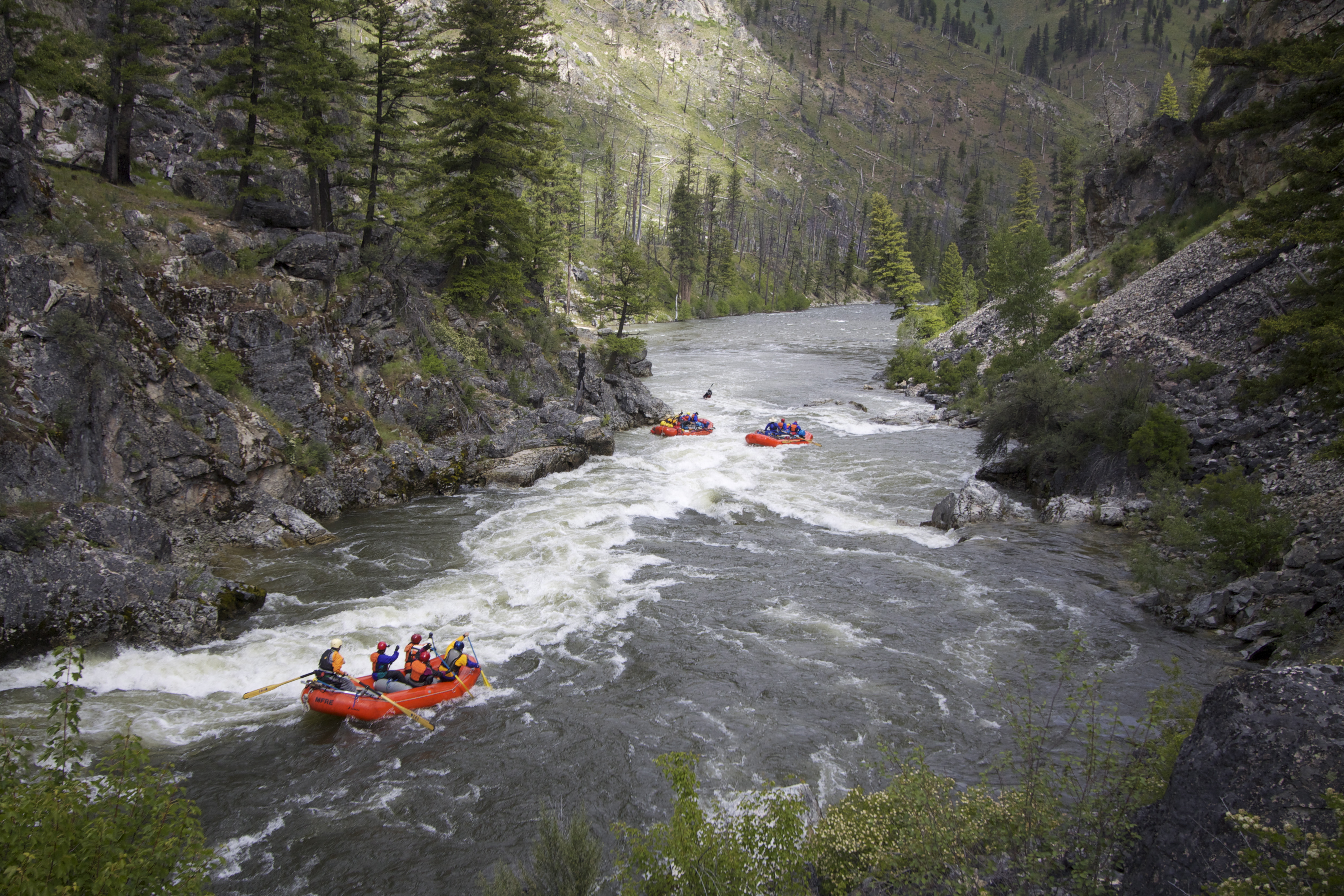 main fork at Salmon River